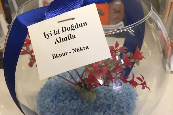 Taşkın Petshop - Resim 9