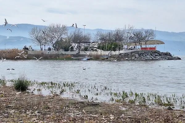 İznik Gölü Bazilikal Kilise Kazısı - Resim 9