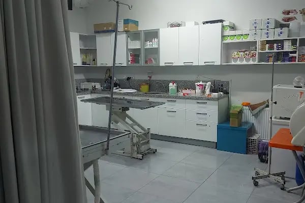 Animal Home Veteriner Klınığı - Resim 13