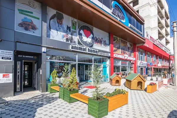 Animal Home Veteriner Klınığı - Resim 5