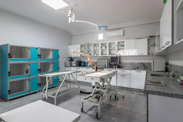 Animal Home Veteriner Klınığı - Resim 3