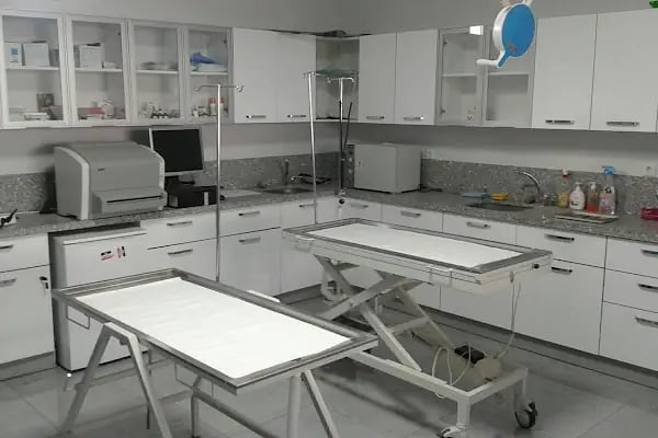 Animal Home Veteriner Klınığı - Resim 18