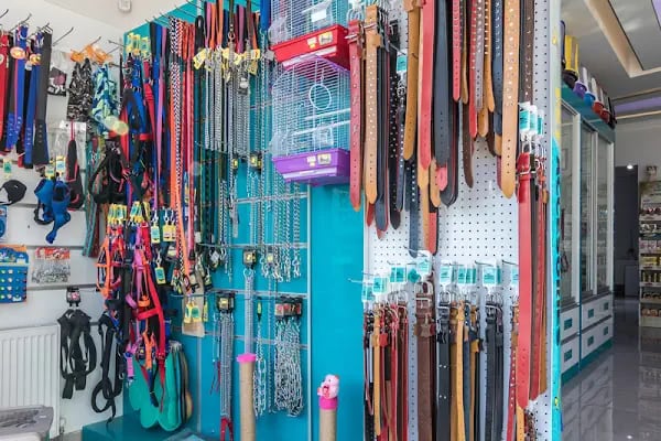 Animal Home Veteriner Klınığı - Resim 19