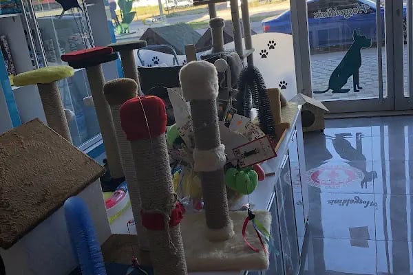 Animal Home Veteriner Klınığı - Resim 15