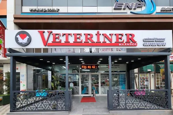 Animal Home Veteriner Klınığı - Resim 2
