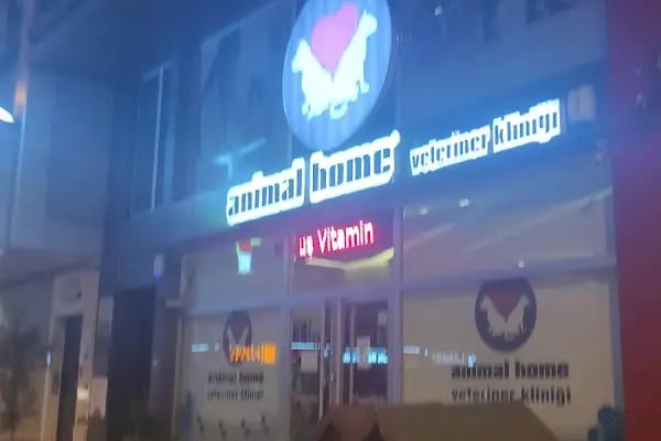 Animal Home Veteriner Klınığı - Resim 14