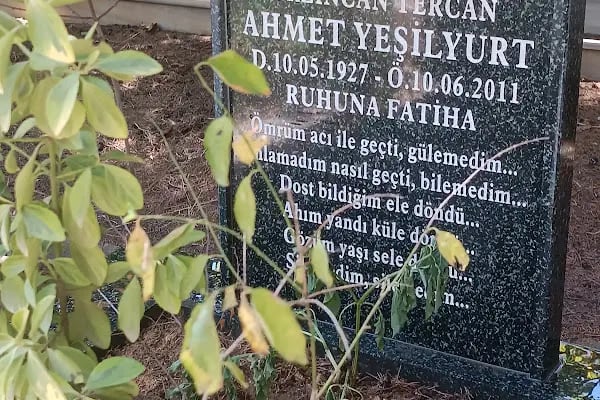 Aydınlı Köyü Mezarlığı - Resim 3