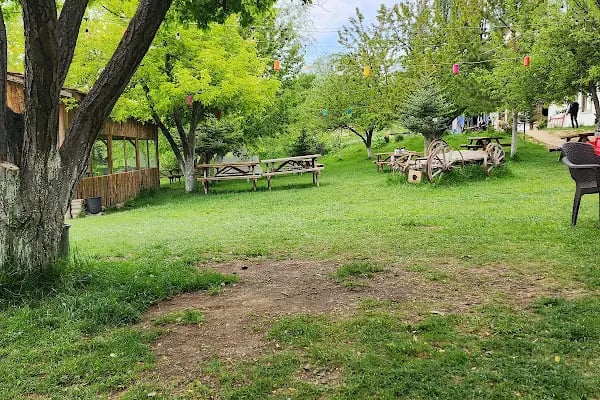 Altınyele Binicilik - Resim 4