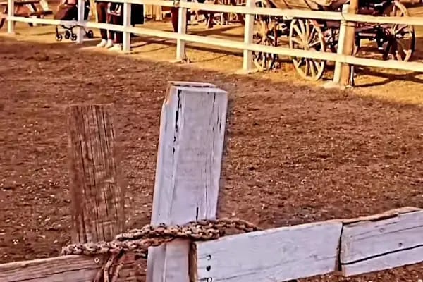Altınyele Binicilik - Resim 18