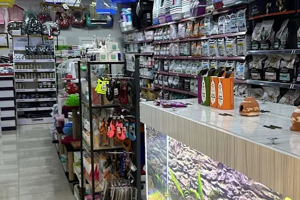 Ankara Papağan Evi Pet Shop - Resim 15