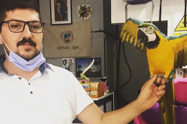 Ankara Papağan Evi Pet Shop - Resim 19