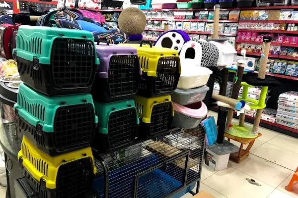 Ankara Papağan Evi Pet Shop - Resim 3