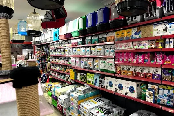 Ankara Papağan Evi Pet Shop - Resim 18