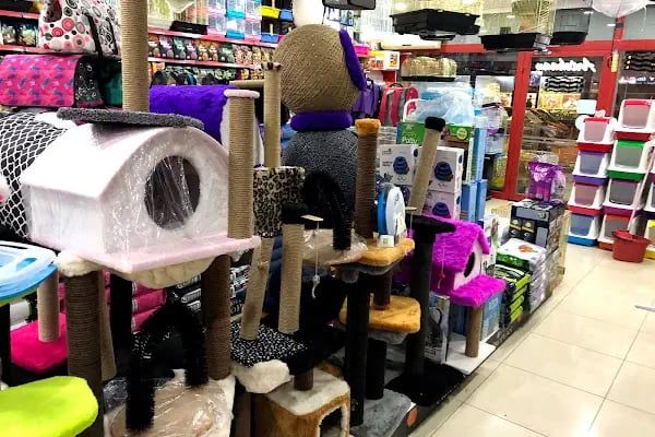 Ankara Papağan Evi Pet Shop - Resim 9