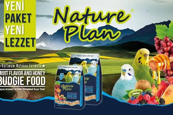 Ankara Papağan Evi Pet Shop - Resim 14