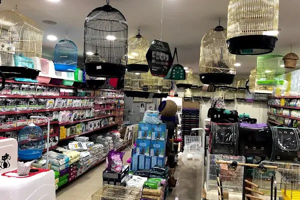 Ankara Papağan Evi Pet Shop - Resim 12