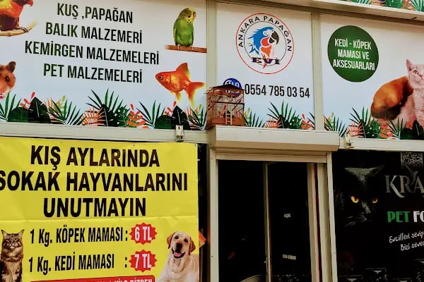 Ankara Papağan Evi Pet Shop - Resim 13