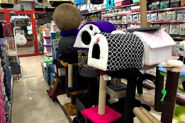 Ankara Papağan Evi Pet Shop - Resim 6