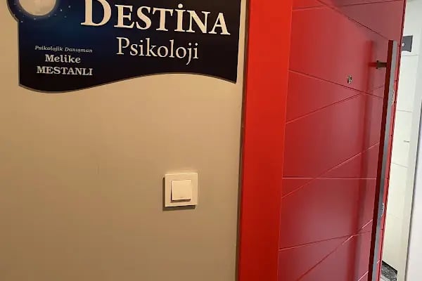 DESTİNA PSİKOLOJİ - PSİKOLOJİK DANIŞMAN/UZM. KLİNİK PSİKOLOG MELİKE MESTANLI ŞAHİN - Resim 2