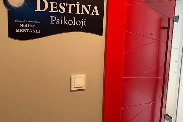 DESTİNA PSİKOLOJİ - PSİKOLOJİK DANIŞMAN/UZM. KLİNİK PSİKOLOG MELİKE MESTANLI ŞAHİN - Resim 17