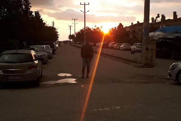 Ayışığı - Resim 20