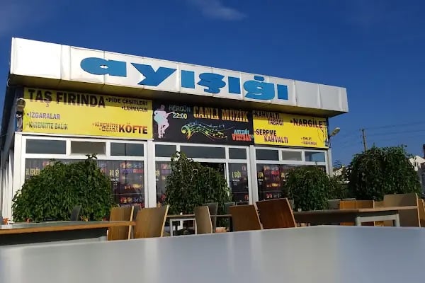 Ayışığı - Resim 16