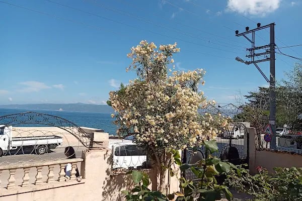Havuzlu Sorgut Sitesi - Resim 1