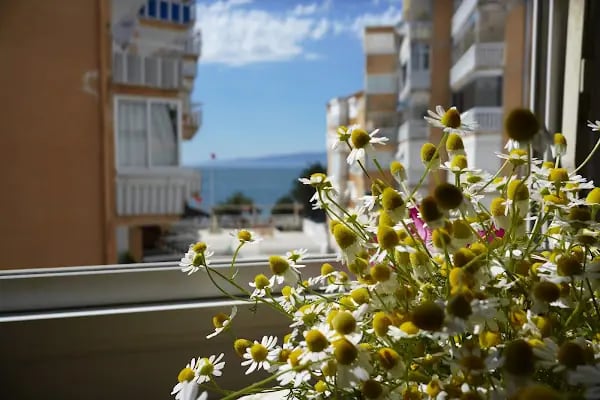 Havuzlu Sorgut Sitesi - Resim 7