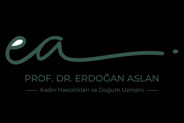 Prof Dr Erdoğan Aslan Kadın Hastalıkları ve Doğum Uzmanı - Resim 9