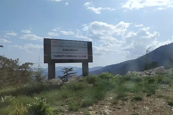Çığlıkara Nature Reserve - Resim 19