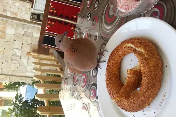 Yeşilbayır Yeni Cami - Resim 4