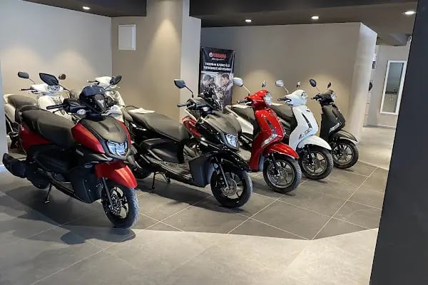 Paksoy Motor - Resim 6