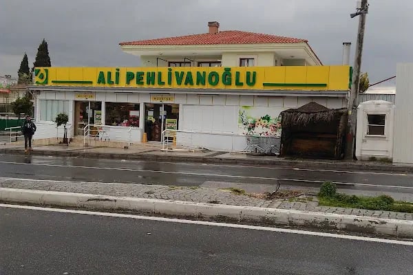 Ali Pehlivanoḡlu - Resim 2