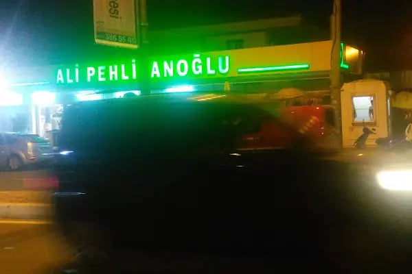 Ali Pehlivanoḡlu - Resim 11