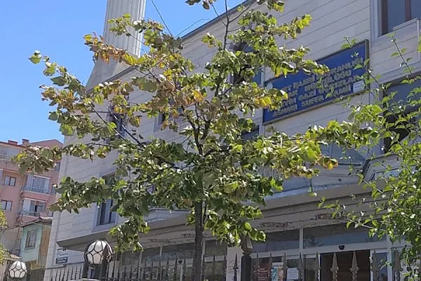 HÜSEYİN GAZİ ÜÇKIZLAR ASHABI SUFFA CAMİ - Resim 18