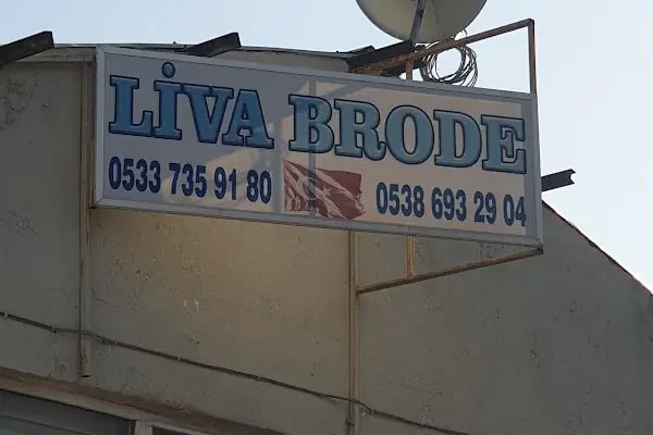 Liva Brode - Resim 2