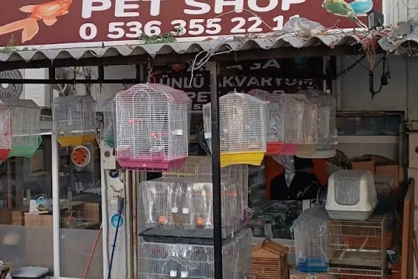 Yalçın Akvaryum &amp; Pet Shop - Resim 17