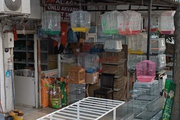Yalçın Akvaryum &amp; Pet Shop - Resim 11
