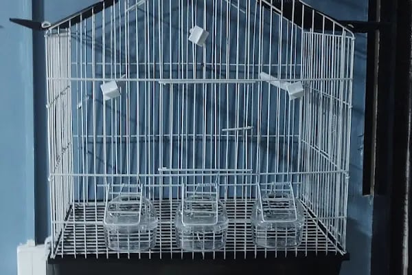 TİTİŞ PETSHOP - Resim 9