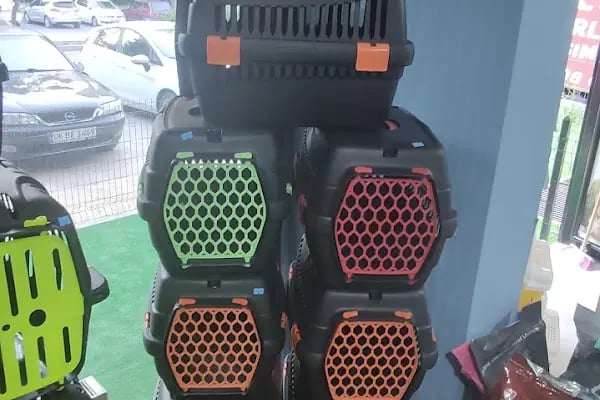 TİTİŞ PETSHOP - Resim 4