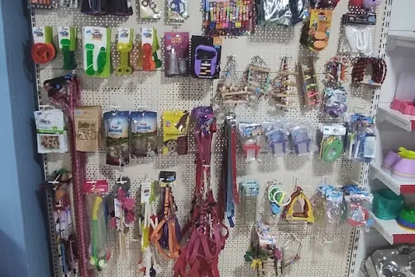 TİTİŞ PETSHOP - Resim 16