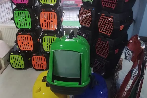 TİTİŞ PETSHOP - Resim 17