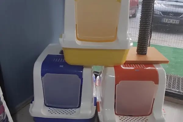 TİTİŞ PETSHOP - Resim 7