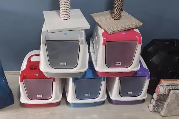 TİTİŞ PETSHOP - Resim 10