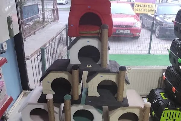 TİTİŞ PETSHOP - Resim 3