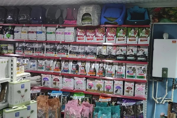 TİTİŞ PETSHOP - Resim 14