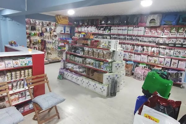 TİTİŞ PETSHOP - Resim 11