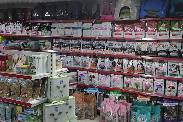 TİTİŞ PETSHOP - Resim 2