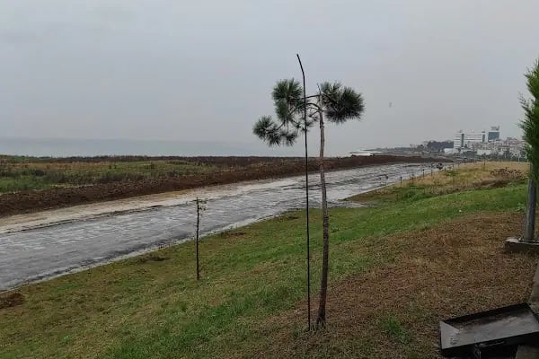 Yaylacık Çimeni - Resim 20