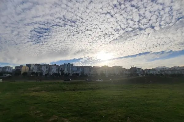 Yaylacık Çimeni - Resim 9